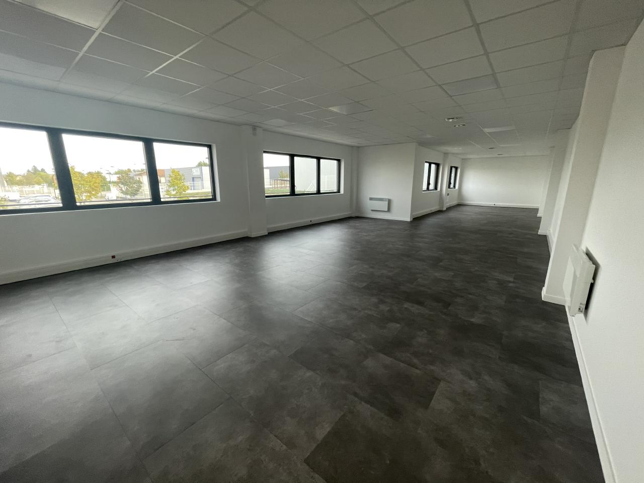 Local d'activité Colombier-Saugnieu 3853m² Location local d'activité Colombier-Saugnieu Rhône OLACT2206439 13